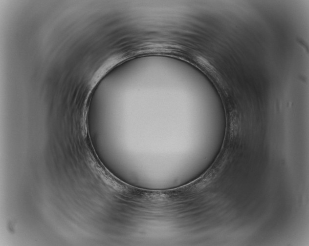 X0000102251370200808081401