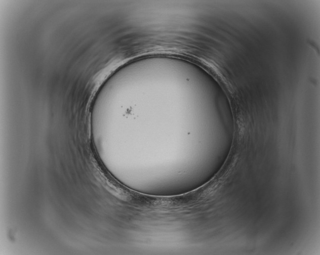 X0000102251371200808081401