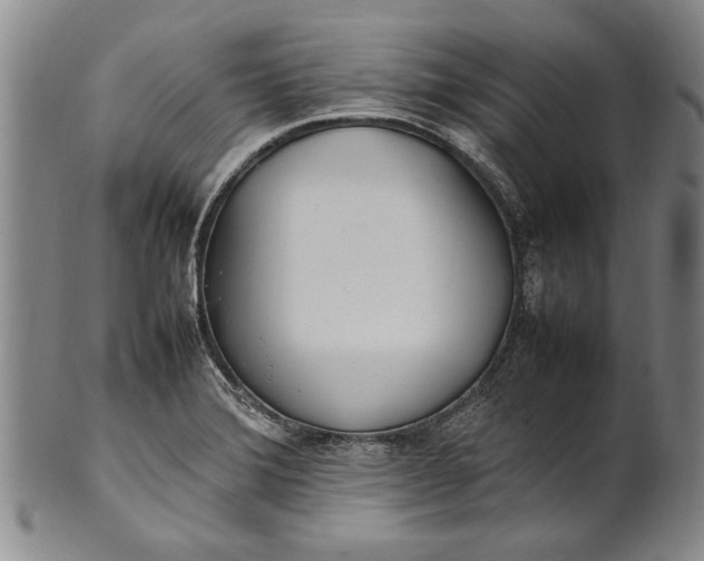 X0000102251372200808081401