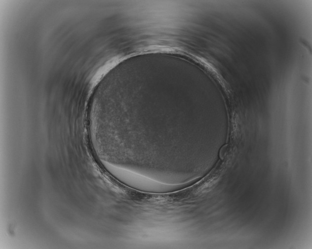 X0000102251373200808081401