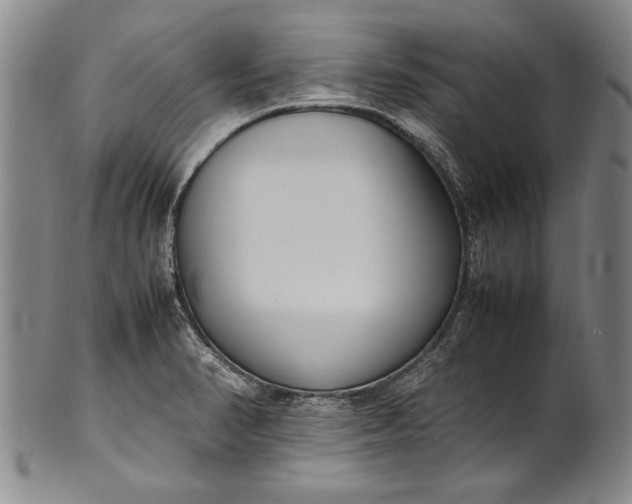 X0000102251374200808081401