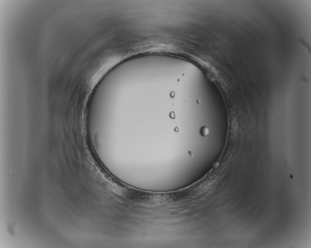 X0000102251375200808081401