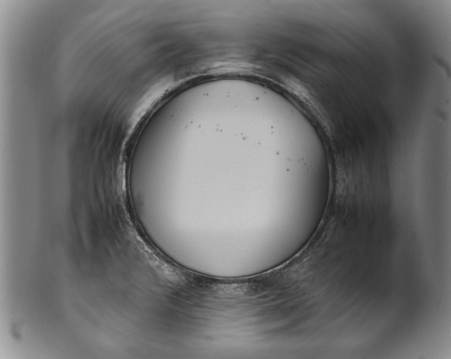 X0000102251376200808081401