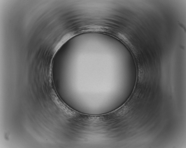 X0000102251378200808081401