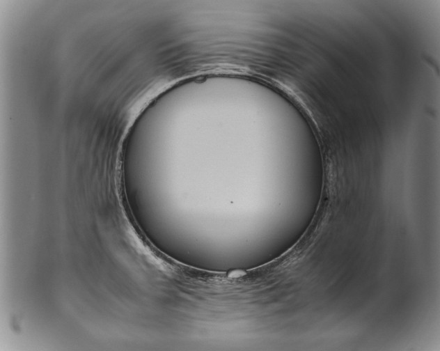 X0000102251379200808081401