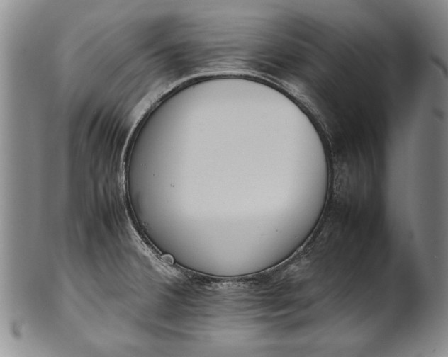 X0000102251380200808081401