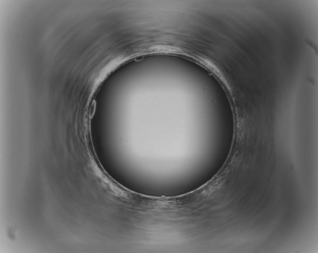 X0000102251381200808081401