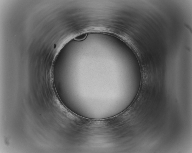 X0000102251382200808081401