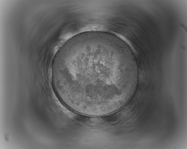 X0000102251383200808081401