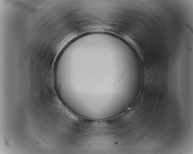 X0000102251384200808081401