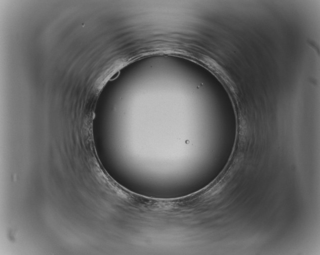 X0000102251385200808081401