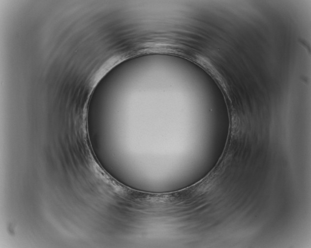 X0000102251386200808081401