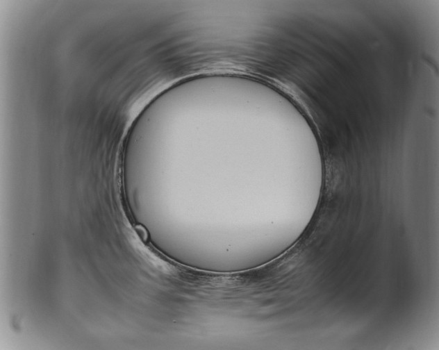 X0000102251387200808081401