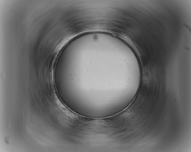 X0000102251388200808081401