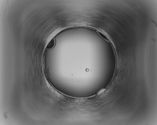 X0000102251389200808081401