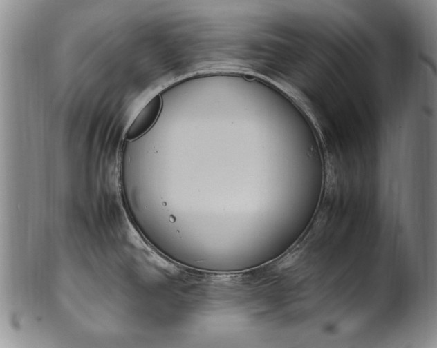 X0000102251390200808081401