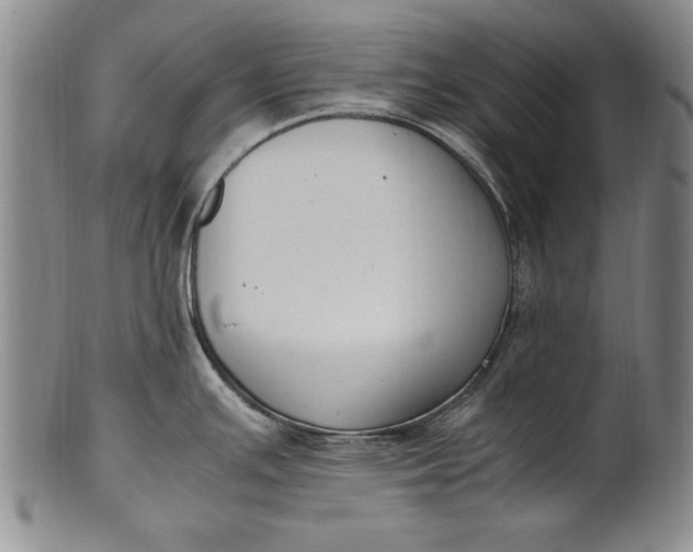 X0000102251391200808081401