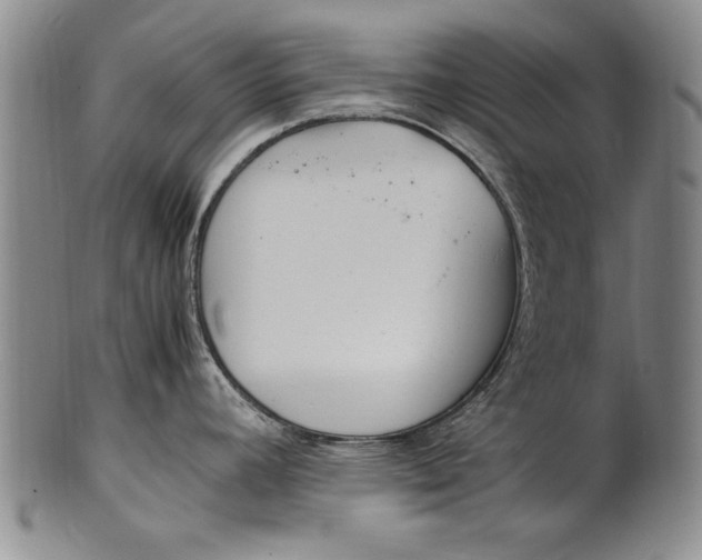 X0000102251392200808081401