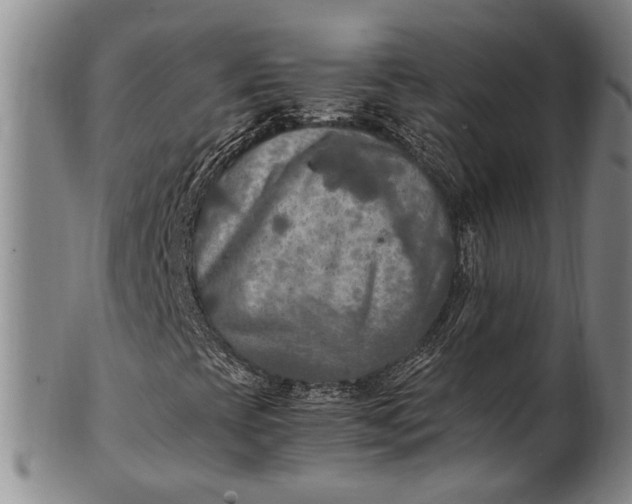 X0000102251393200808081400