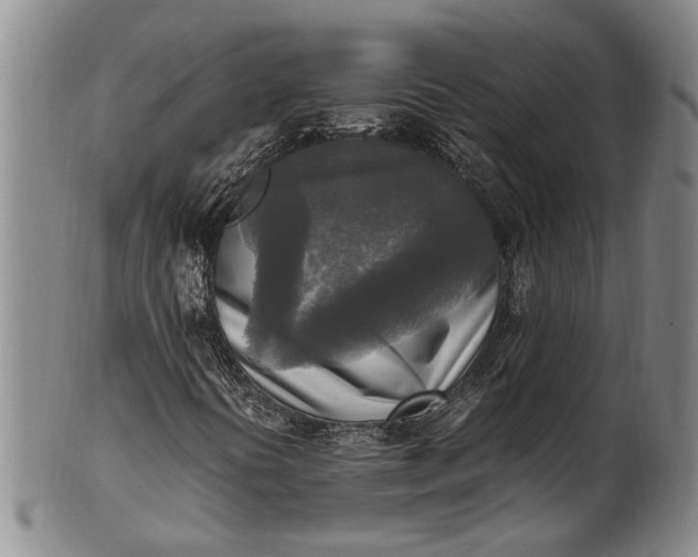 X0000102251394200808081400