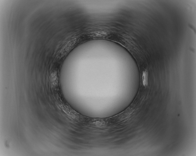 X0000102251395200808081400