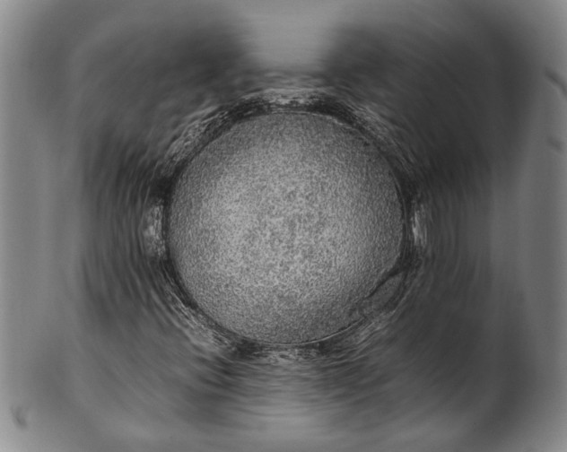 X0000102251396200808081400