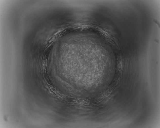 X0000102251397200808081400