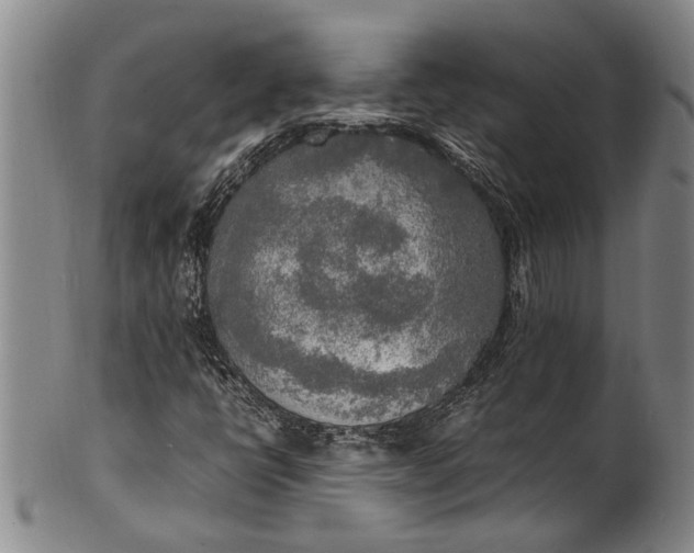 X0000102251398200808081400