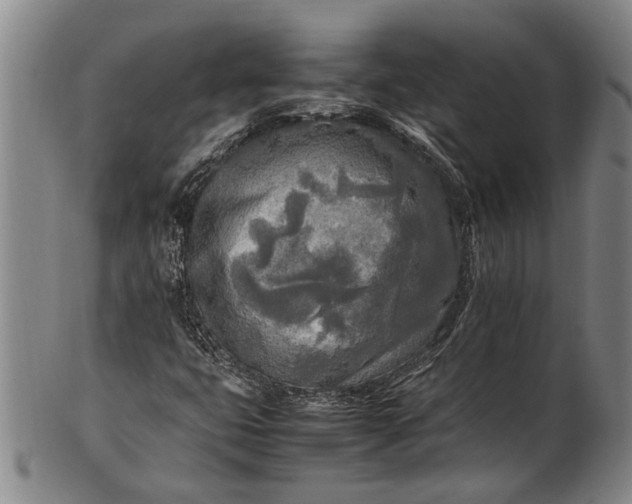 X0000102251399200808081400