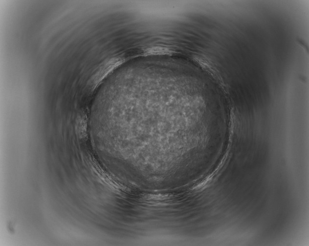 X0000102251401200808081400