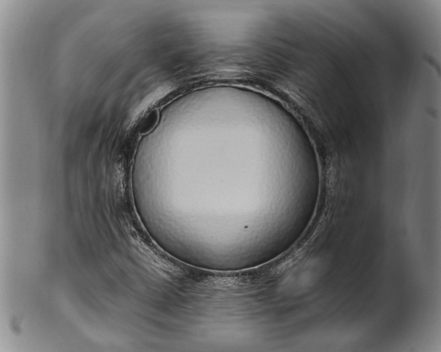 X0000102251402200808081400