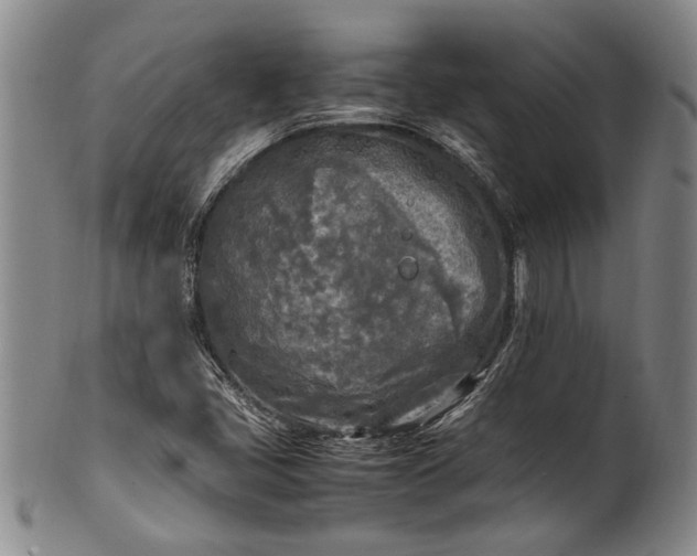 X0000102251405200808081400