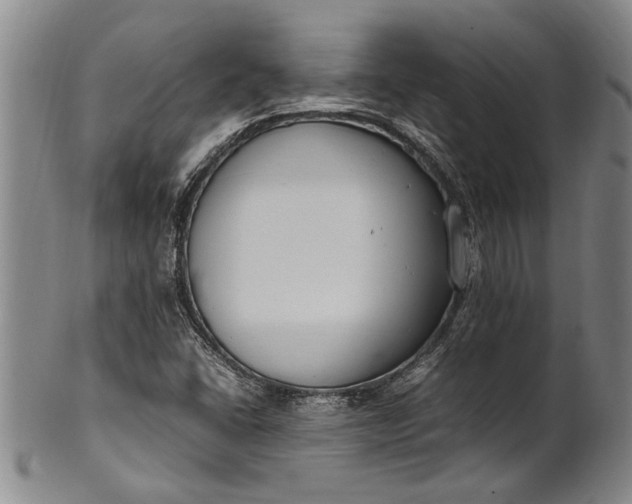 X0000102251406200808081400