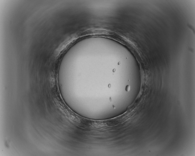 X0000102251407200808081400