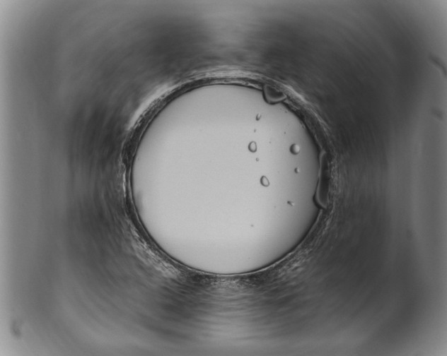 X0000102251408200808081400