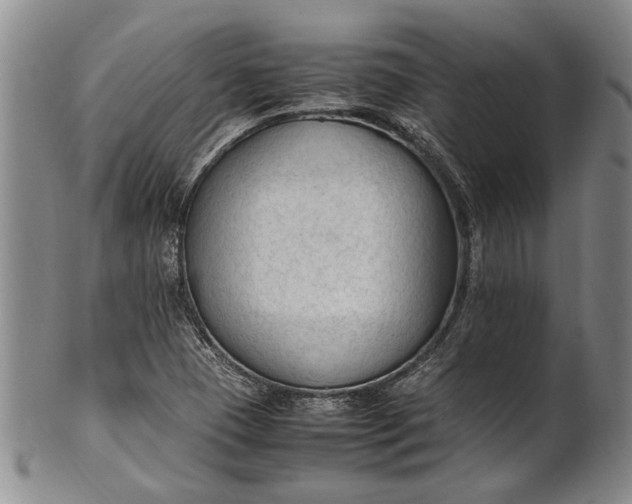 X0000102251409200808081400