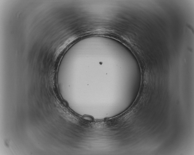 X0000102251410200808081400