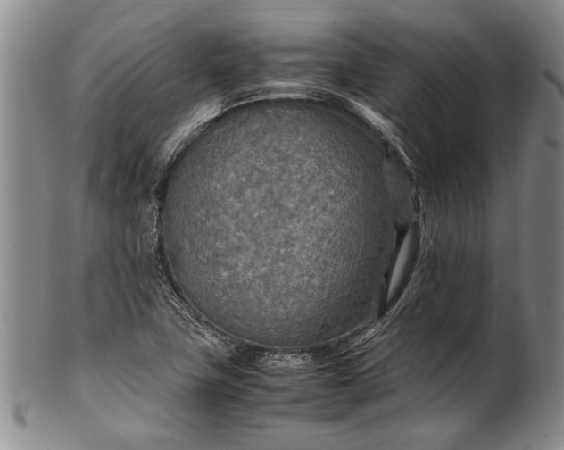 X0000102251411200808081400