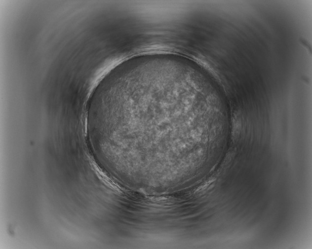 X0000102251413200808081400