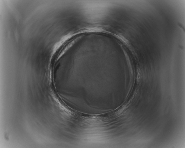 X0000102251414200808081400