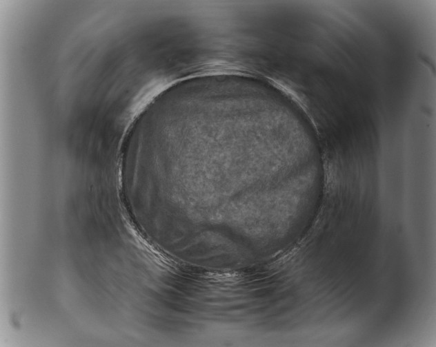 X0000102251415200808081400