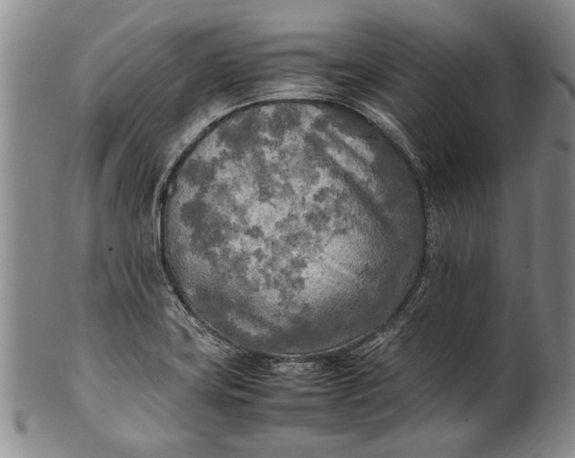 X0000102251419200808081400