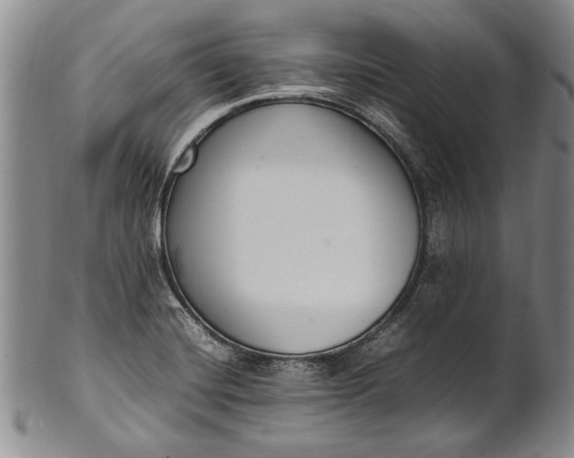 X0000102251420200808081400