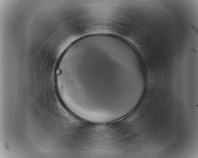 X0000102251422200808081400