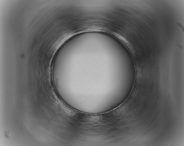 X0000102251423200808081400