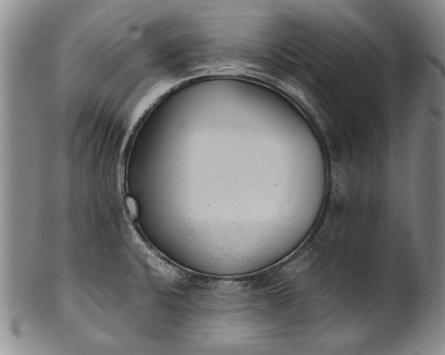 X0000102251424200808081400