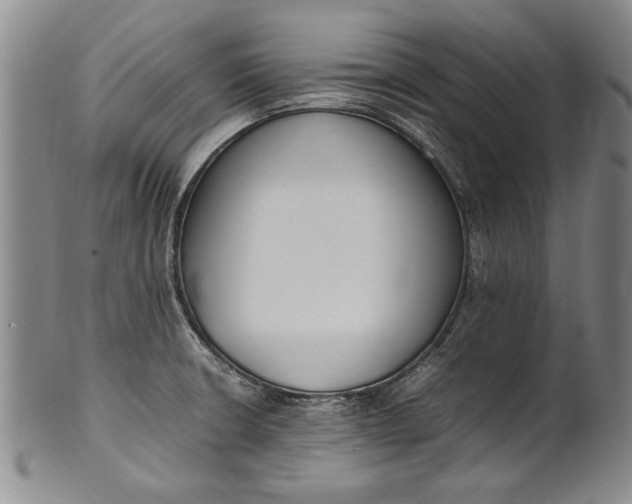 X0000102251426200808081400