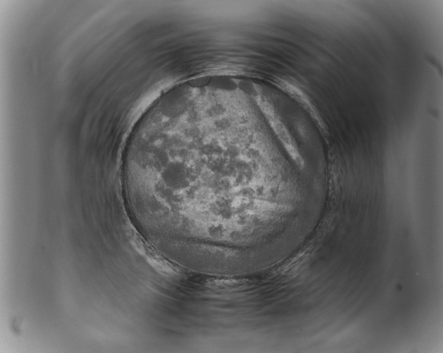 X0000102251427200808081400