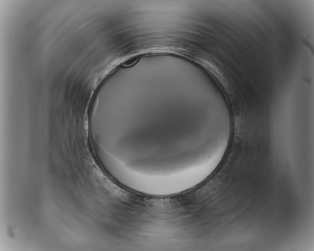 X0000102251428200808081400