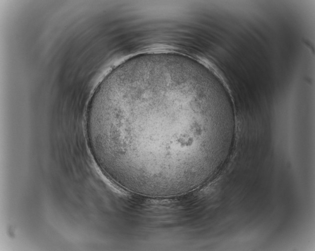 X0000102251429200808081400